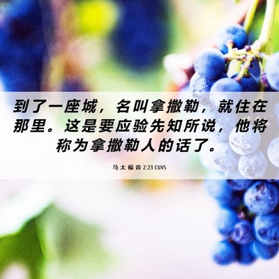 Picture 06 - 马 太 福 音 2:23 CUVS - 到 了 一 座 城 ， 名 叫 拿 撒 勒 ， - Bible Verse Picture