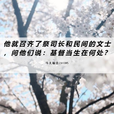 Picture 06 - 马 太 福 音 2:4 CUVS - 他 就 召 齐 了 祭 司 长 和 民 间 的 - Bible Verse Picture