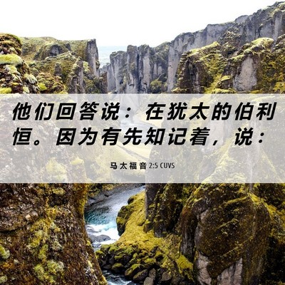 Picture 06 - 马 太 福 音 2:5 CUVS - 他 们 回 答 说 ： 在 犹 太 的 伯 利 - Bible Verse Picture