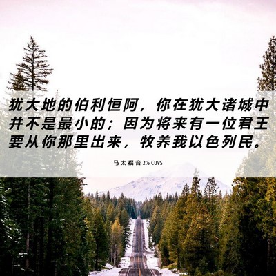 Picture 06 - 马 太 福 音 2:6 CUVS - 犹 大 地 的 伯 利 恒 阿 ， 你 在 犹 - Bible Verse Picture