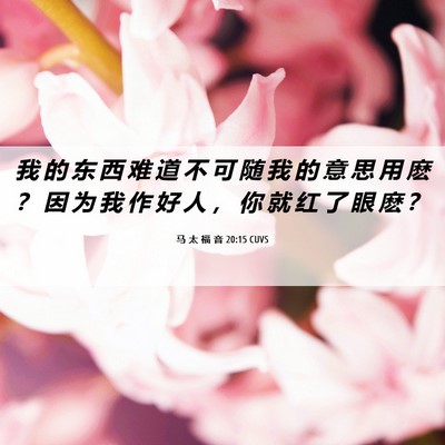 Picture 06 - 马 太 福 音 20:15 CUVS - 我 的 东 西 难 道 不 可 随 我 的 意 - Bible Verse Picture