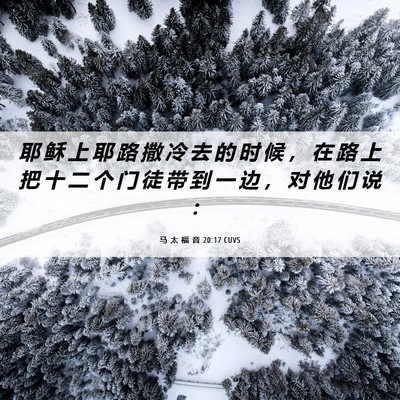 Picture 06 - 马 太 福 音 20:17 CUVS - 耶 稣 上 耶 路 撒 冷 去 的 时 候 ， - Bible Verse Picture