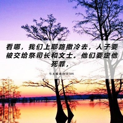 Picture 06 - 马 太 福 音 20:18 CUVS - 看 哪 ， 我 们 上 耶 路 撒 冷 去 ， - Bible Verse Picture