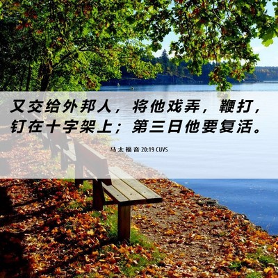 Picture 06 - 马 太 福 音 20:19 CUVS - 又 交 给 外 邦 人 ， 将 他 戏 弄 ， - Bible Verse Picture