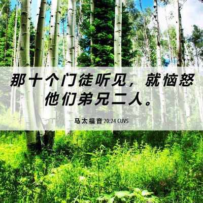 Picture 06 - 马 太 福 音 20:24 CUVS - 那 十 个 门 徒 听 见 ， 就 恼 怒 他 - Bible Verse Picture