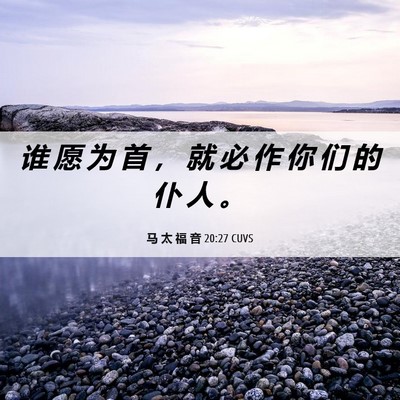 Picture 06 - 马 太 福 音 20:27 CUVS - 谁 愿 为 首 ， 就 必 作 你 们 的 仆 - Bible Verse Picture