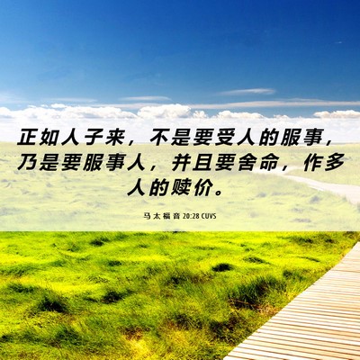 Picture 06 - 马 太 福 音 20:28 CUVS - 正 如 人 子 来 ， 不 是 要 受 人 的 - Bible Verse Picture