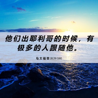 Picture 06 - 马 太 福 音 20:29 CUVS - 他 们 出 耶 利 哥 的 时 候 ， 有 极 - Bible Verse Picture