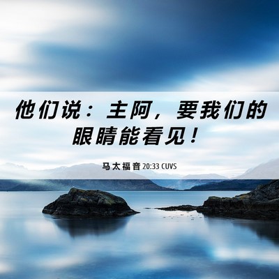 Picture 06 - 马 太 福 音 20:33 CUVS - 他 们 说 ： 主 阿 ， 要 我 们 的 眼 - Bible Verse Picture