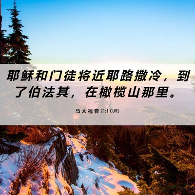Picture 06 - 马 太 福 音 21:1 CUVS - 耶 稣 和 门 徒 将 近 耶 路 撒 冷 ， - Bible Verse Picture