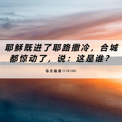 Picture 06 - 马 太 福 音 21:10 CUVS - 耶 稣 既 进 了 耶 路 撒 冷 ， 合 城 - Bible Verse Picture