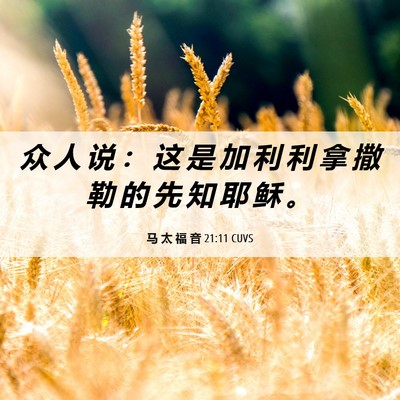Picture 06 - 马 太 福 音 21:11 CUVS - 众 人 说 ： 这 是 加 利 利 拿 撒 勒 - Bible Verse Picture