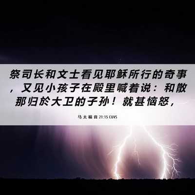 Picture 06 - 马 太 福 音 21:15 CUVS - 祭 司 长 和 文 士 看 见 耶 稣 所 行 - Bible Verse Picture