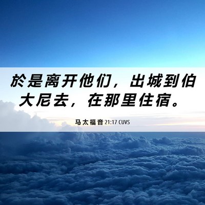 Picture 06 - 马 太 福 音 21:17 CUVS - 於 是 离 开 他 们 ， 出 城 到 伯 大 - Bible Verse Picture