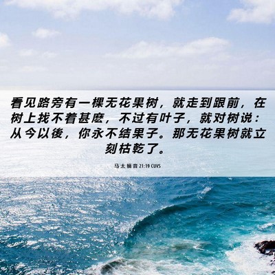 Picture 06 - 马 太 福 音 21:19 CUVS - 看 见 路 旁 有 一 棵 无 花 果 树 ， - Bible Verse Picture