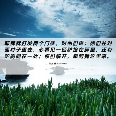 Picture 06 - 马 太 福 音 21:2 CUVS - 耶 稣 就 打 发 两 个 门 徒 ， 对 他 - Bible Verse Picture