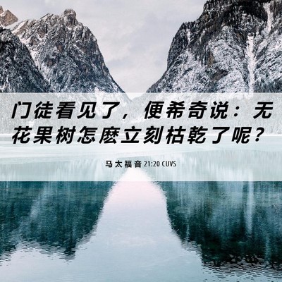 Picture 06 - 马 太 福 音 21:20 CUVS - 门 徒 看 见 了 ， 便 希 奇 说 ： 无 - Bible Verse Picture