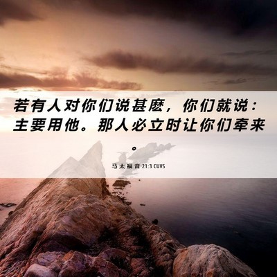 Picture 06 - 马 太 福 音 21:3 CUVS - 若 有 人 对 你 们 说 甚 麽 ， 你 们 - Bible Verse Picture
