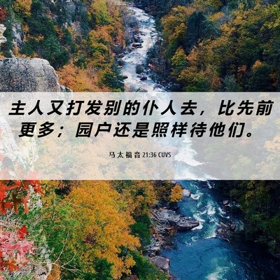 Picture 06 - 马 太 福 音 21:36 CUVS - 主 人 又 打 发 别 的 仆 人 去 ， 比 - Bible Verse Picture