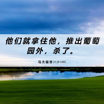Picture 06 - 马 太 福 音 21:39 CUVS - 他 们 就 拿 住 他 ， 推 出 葡 萄 园 - Bible Verse Picture