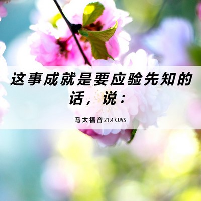 Picture 06 - 马 太 福 音 21:4 CUVS - 这 事 成 就 是 要 应 验 先 知 的 话 - Bible Verse Picture