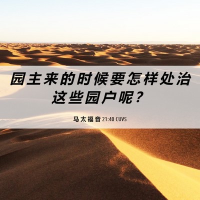 Picture 06 - 马 太 福 音 21:40 CUVS - 园 主 来 的 时 候 要 怎 样 处 治 这 - Bible Verse Picture