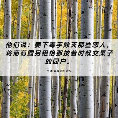 Picture 06 - 马 太 福 音 21:41 CUVS - 他 们 说 ： 要 下 毒 手 除 灭 那 些 - Bible Verse Picture