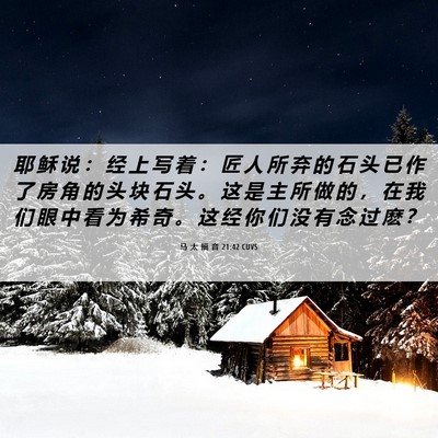 Picture 06 - 马 太 福 音 21:42 CUVS - 耶 稣 说 ： 经 上 写 着 ： 匠 人 所 - Bible Verse Picture