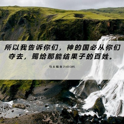 Picture 06 - 马 太 福 音 21:43 CUVS - 所 以 我 告 诉 你 们 ， 神 的 国 必 - Bible Verse Picture