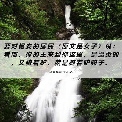 Picture 06 - 马 太 福 音 21:5 CUVS - 要 对 锡 安 的 居 民 （ 原 文 是 女 - Bible Verse Picture