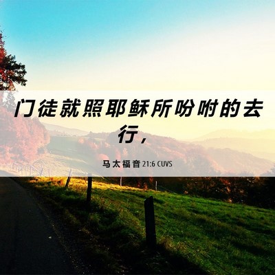 Picture 06 - 马 太 福 音 21:6 CUVS - 门 徒 就 照 耶 稣 所 吩 咐 的 去 行 - Bible Verse Picture