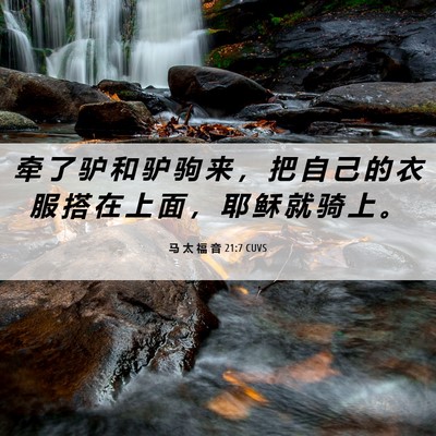 Picture 06 - 马 太 福 音 21:7 CUVS - 牵 了 驴 和 驴 驹 来 ， 把 自 己 的 - Bible Verse Picture