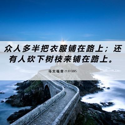 Picture 06 - 马 太 福 音 21:8 CUVS - 众 人 多 半 把 衣 服 铺 在 路 上 ； - Bible Verse Picture