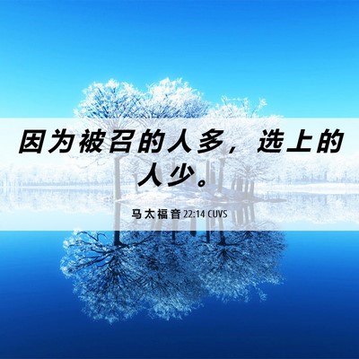 Picture 06 - 马 太 福 音 22:14 CUVS - 因 为 被 召 的 人 多 ， 选 上 的 人 - Bible Verse Picture