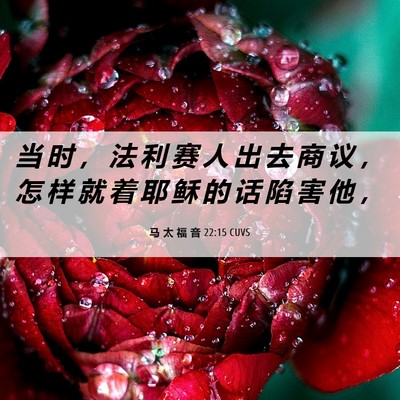 Picture 06 - 马 太 福 音 22:15 CUVS - 当 时 ， 法 利 赛 人 出 去 商 议 ， - Bible Verse Picture