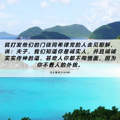 Picture 06 - 马 太 福 音 22:16 CUVS - 就 打 发 他 们 的 门 徒 同 希 律 党 - Bible Verse Picture