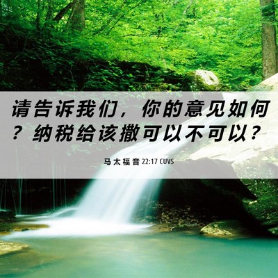 Picture 06 - 马 太 福 音 22:17 CUVS - 请 告 诉 我 们 ， 你 的 意 见 如 何 - Bible Verse Picture