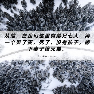 Picture 06 - 马 太 福 音 22:25 CUVS - 从 前 ， 在 我 们 这 里 有 弟 兄 七 - Bible Verse Picture
