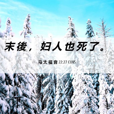 Picture 06 - 马 太 福 音 22:27 CUVS - 末 後 ， 妇 人 也 死 了 - Bible Verse Picture