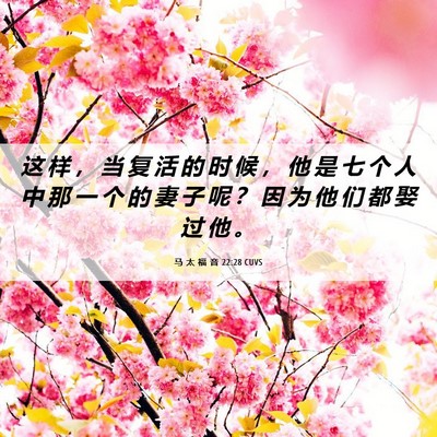 Picture 06 - 马 太 福 音 22:28 CUVS - 这 样 ， 当 复 活 的 时 候 ， 他 是 - Bible Verse Picture