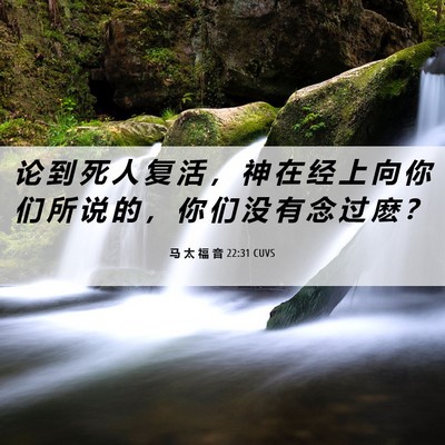 Picture 06 - 马 太 福 音 22:31 CUVS - 论 到 死 人 复 活 ， 神 在 经 上 向 - Bible Verse Picture