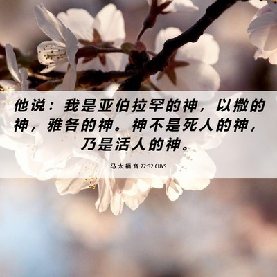 Picture 06 - 马 太 福 音 22:32 CUVS - 他 说 ： 我 是 亚 伯 拉 罕 的 神 ， - Bible Verse Picture