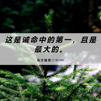 Picture 06 - 马 太 福 音 22:38 CUVS - 这 是 诫 命 中 的 第 一 ， 且 是 最 - Bible Verse Picture