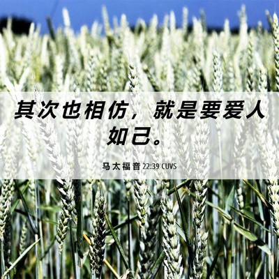 Picture 06 - 马 太 福 音 22:39 CUVS - 其 次 也 相 仿 ， 就 是 要 爱 人 如 - Bible Verse Picture