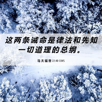 Picture 06 - 马 太 福 音 22:40 CUVS - 这 两 条 诫 命 是 律 法 和 先 知 一 - Bible Verse Picture