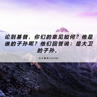 Picture 06 - 马 太 福 音 22:42 CUVS - 论 到 基 督 ， 你 们 的 意 见 如 何 - Bible Verse Picture