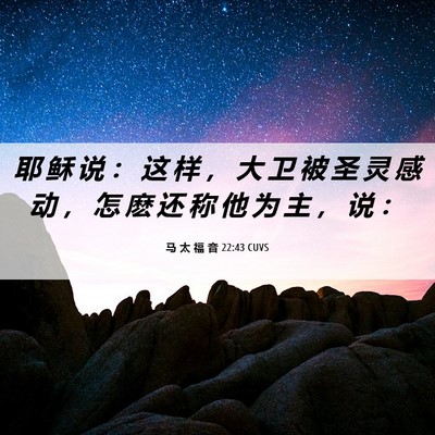 Picture 06 - 马 太 福 音 22:43 CUVS - 耶 稣 说 ： 这 样 ， 大 卫 被 圣 灵 - Bible Verse Picture