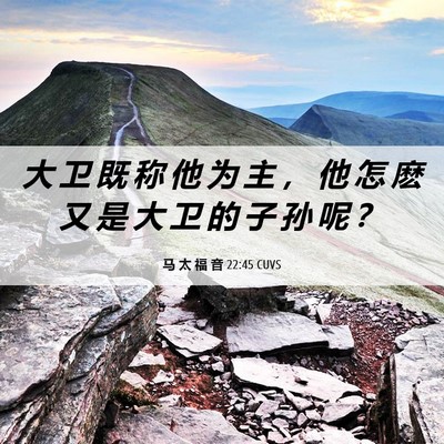 Picture 06 - 马 太 福 音 22:45 CUVS - 大 卫 既 称 他 为 主 ， 他 怎 麽 又 - Bible Verse Picture