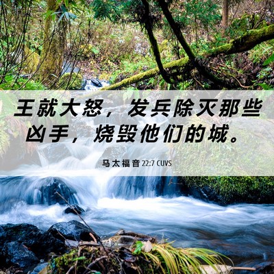 Picture 06 - 马 太 福 音 22:7 CUVS - 王 就 大 怒 ， 发 兵 除 灭 那 些 凶 - Bible Verse Picture
