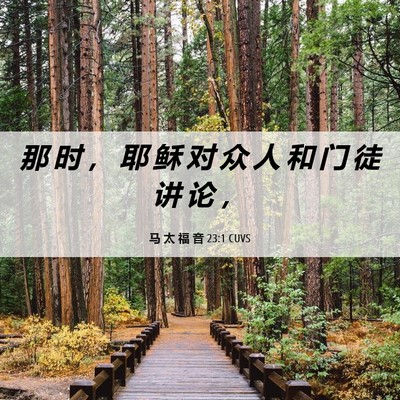 Picture 06 - 马 太 福 音 23:1 CUVS - 那 时 ， 耶 稣 对 众 人 和 门 徒 讲 - Bible Verse Picture